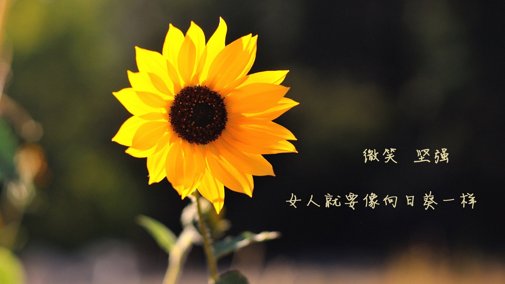 熊猫体育-青少年篮球人才培养持续深化，行业创新能力不断提升，青少年篮球事业的目标
