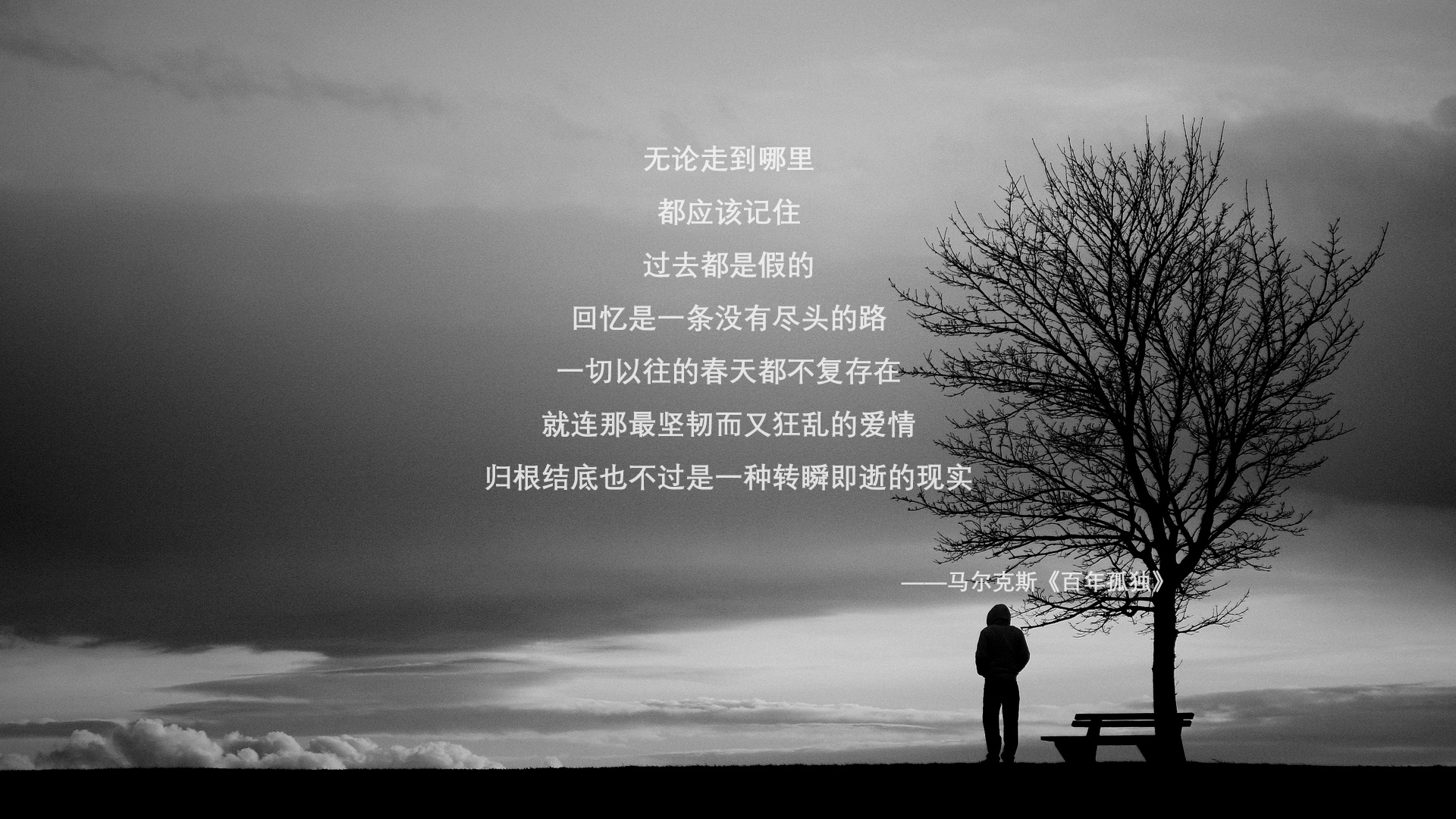 伊朗马术队在巴黎奥运会三项赛中获得第六名，表现稳健。，伊朗马球