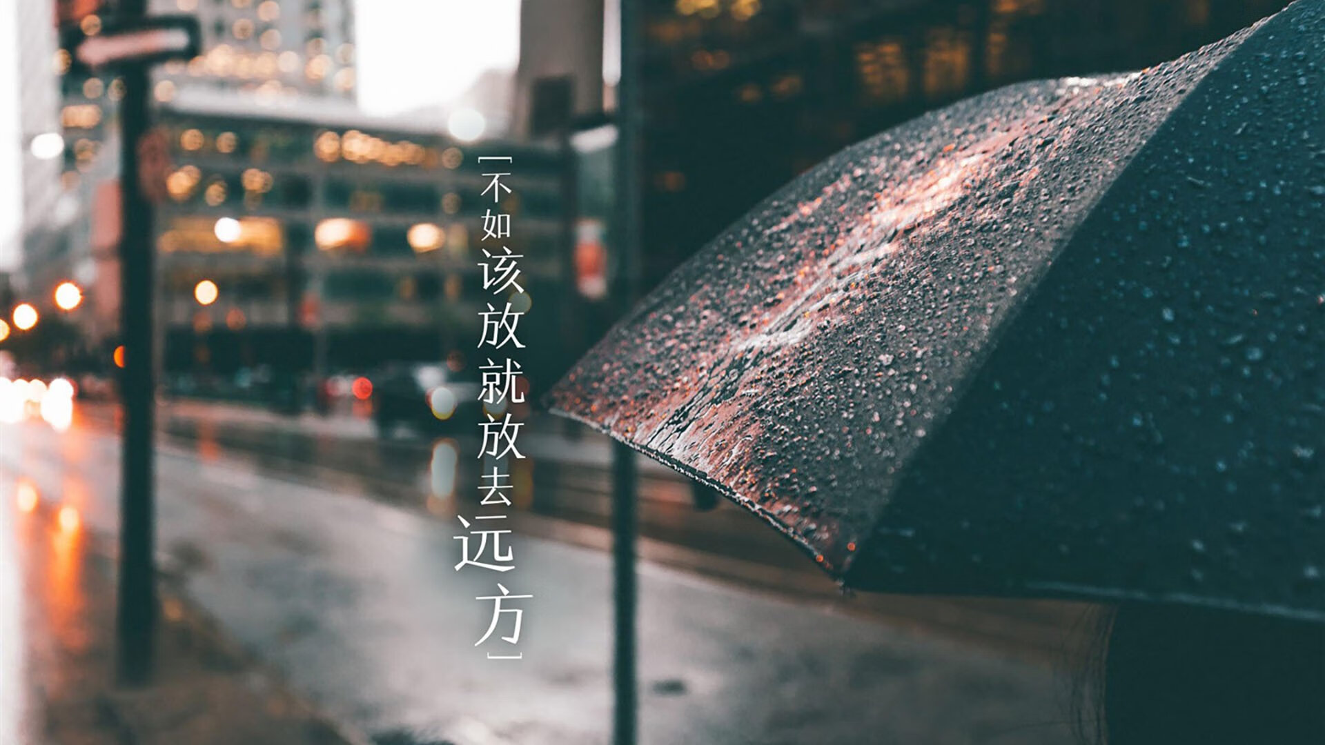 熊猫体育APP-荷兰队在欧预赛比赛中意外失利，遗憾未能晋级，荷兰欧预赛比赛结果
