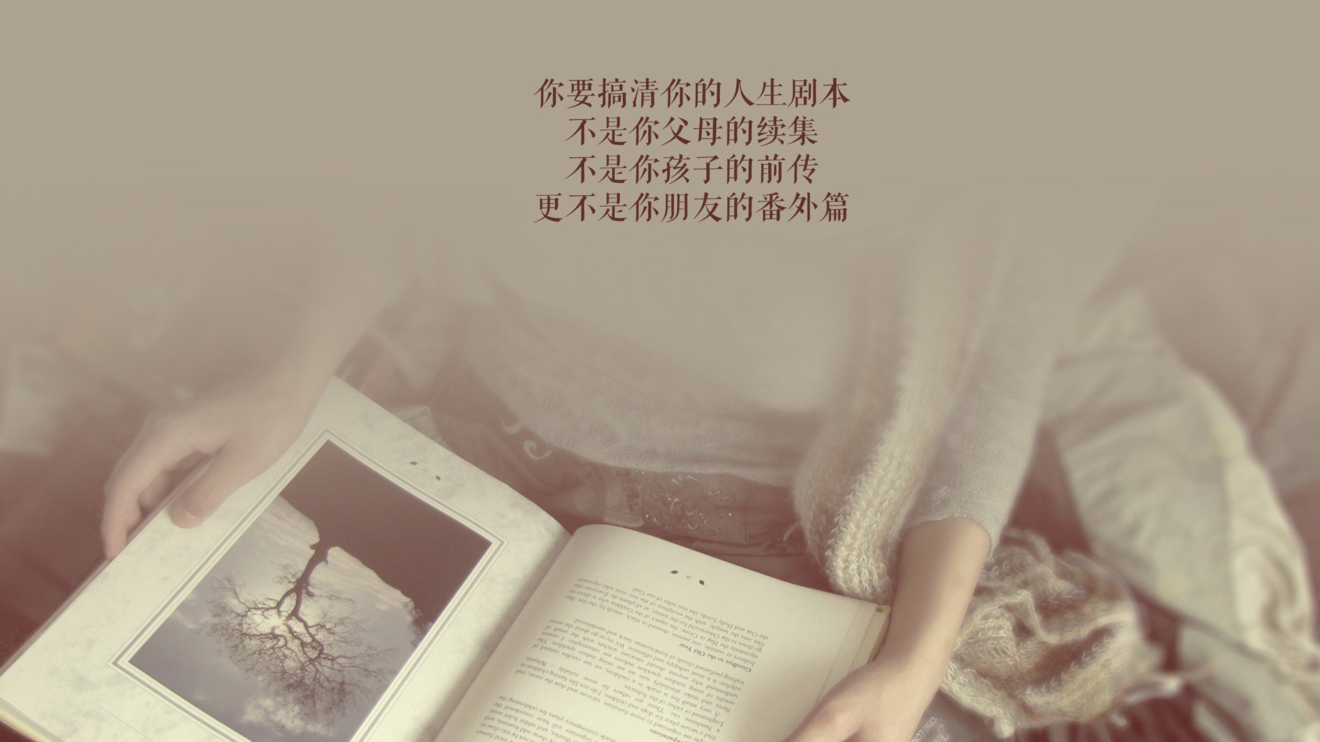 阿森纳在欧冠四分之一决赛中击败皇家马德里，阿森纳欧战冠军